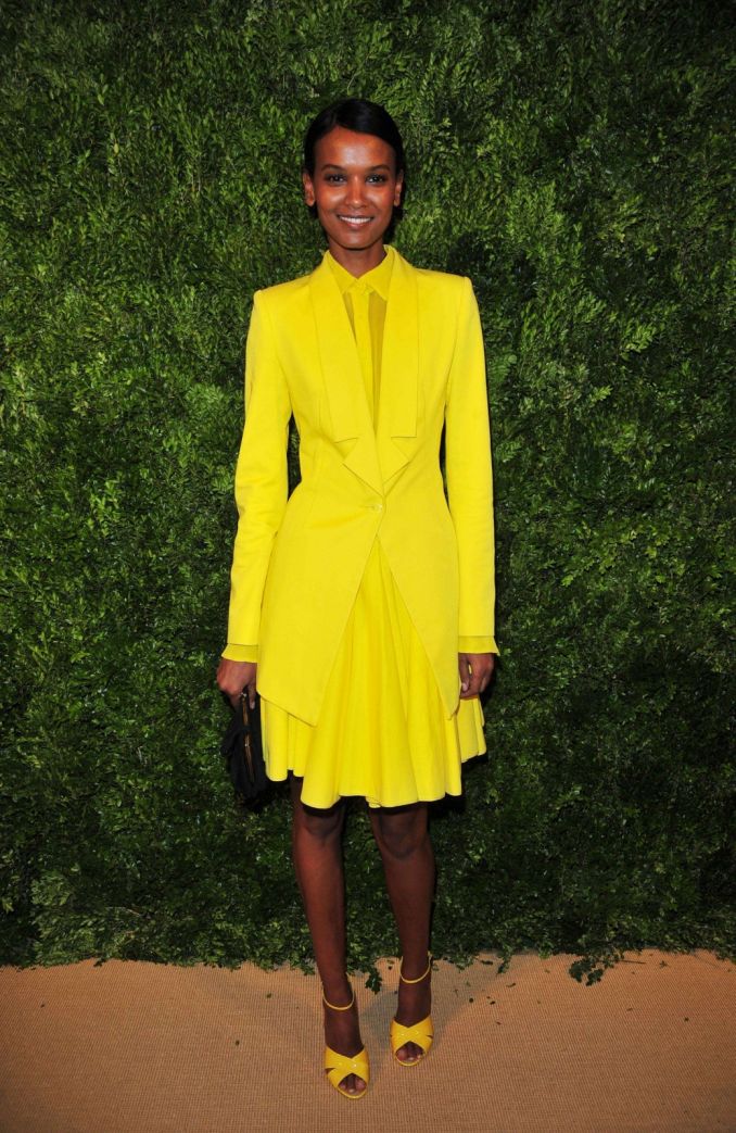 Liya Kebede