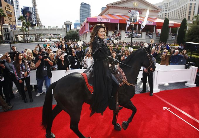 Dainininkė Shania Twain