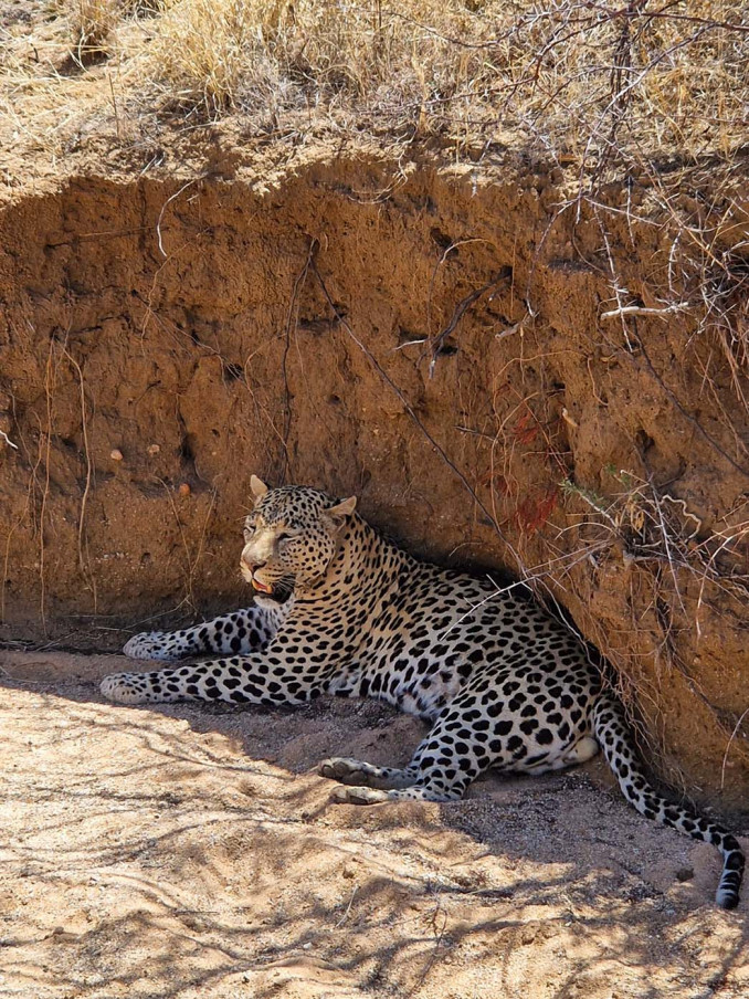 Namibija