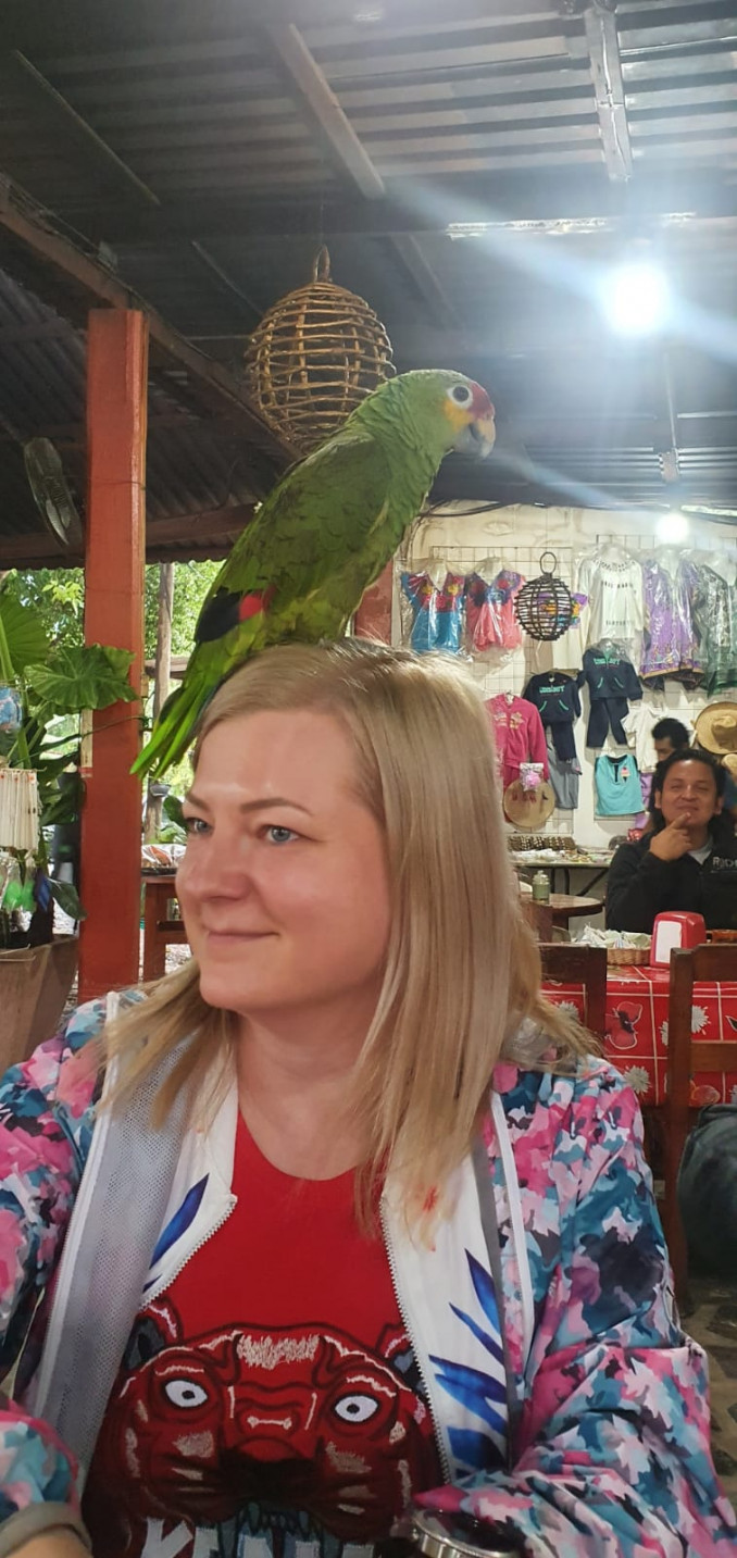 Pusryčiauti su papūga ant galvos