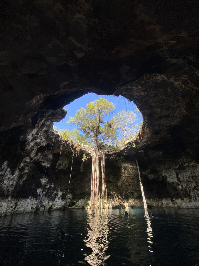 Įspūdingo grožio senotas