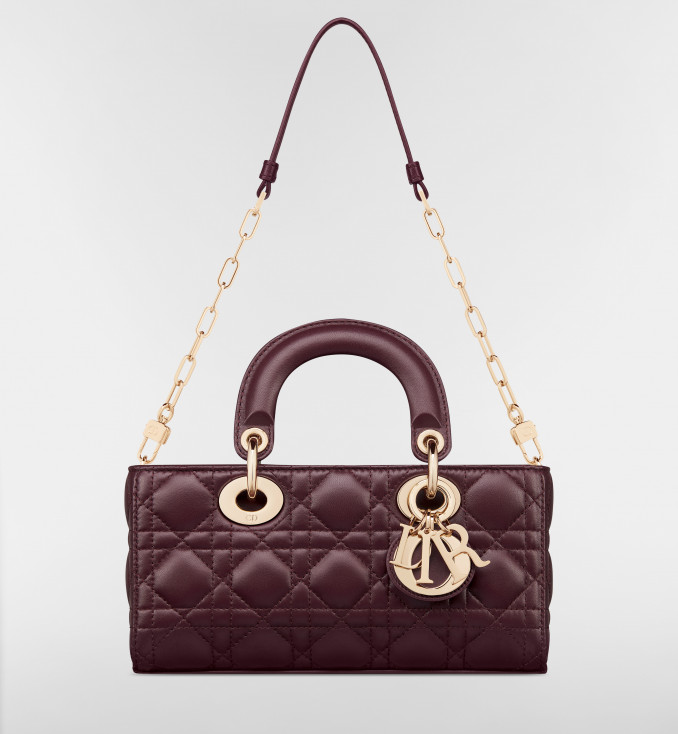 Rankinė, „Dior“