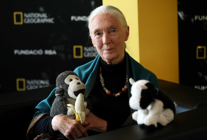 Jane Goodall