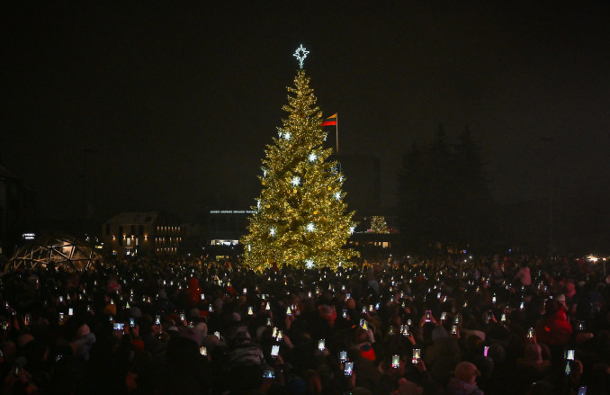 Panevėžio Kalėdų eglė