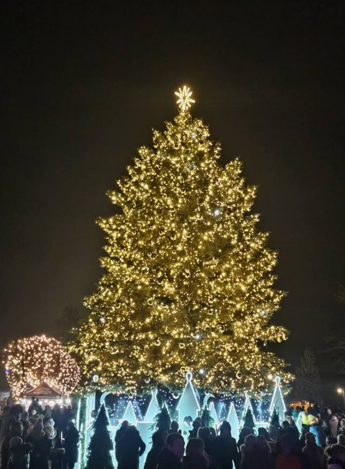 Molėtų Kalėdų eglutė