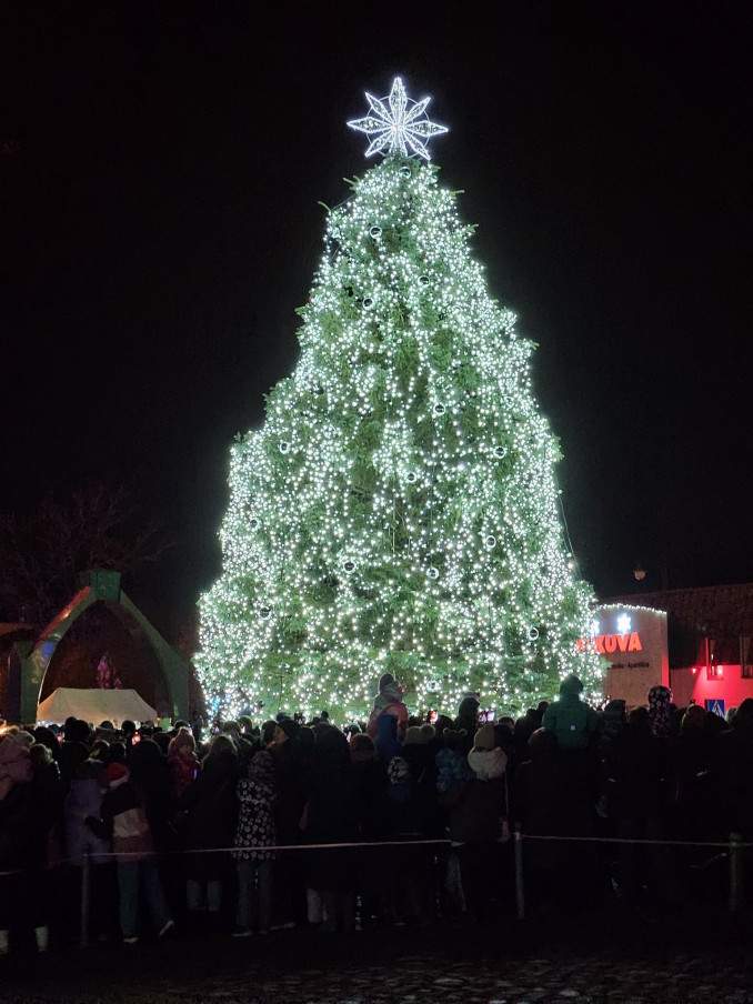 Rokiškio Kalėdų eglutė